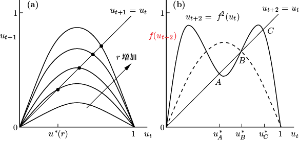 マレー数理生物学